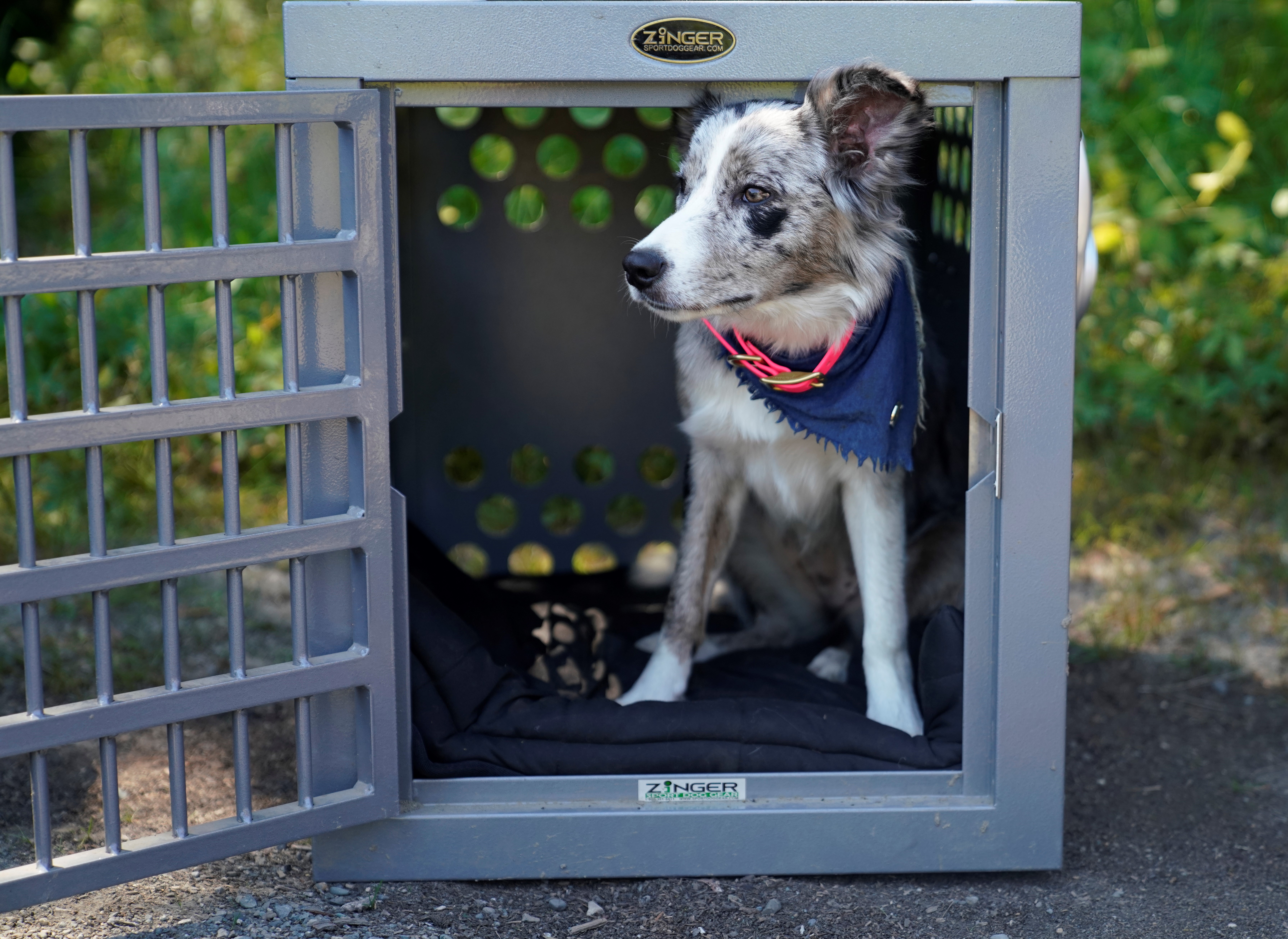 All-in-one grooming table with a - Impact Dog Crates