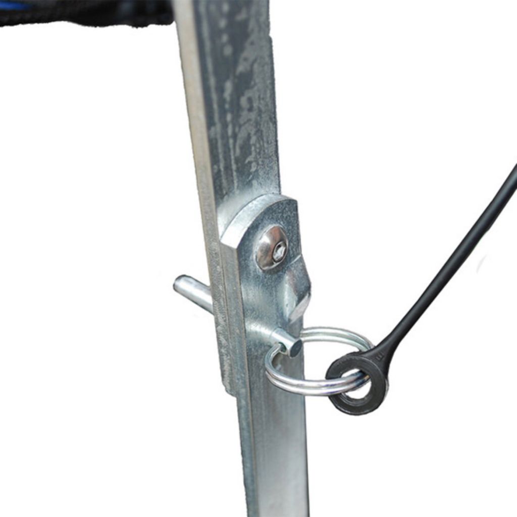 Pins & Lanyards (2 Pack)