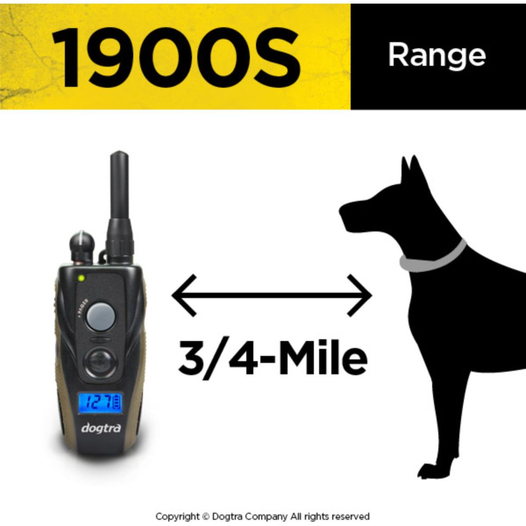 Dogtra 1900S