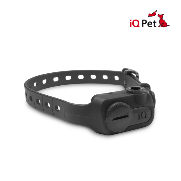 iq dog collar