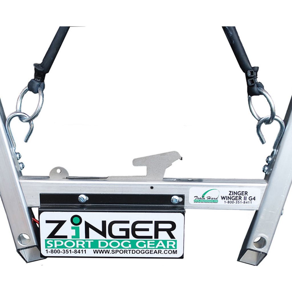 www.zingerwinger.com