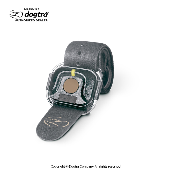 Dogtra HANDSFREE SQUARE